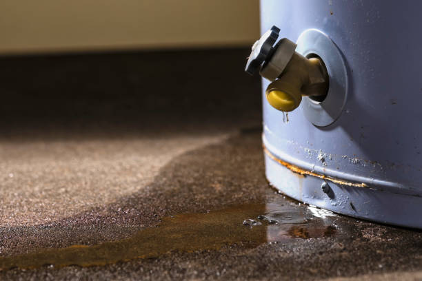 Best Carpet water damage restoration  in Lake Success, NY