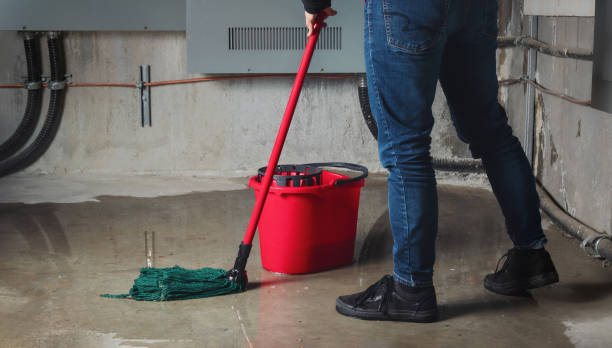 Water damage restoration mold remediation in NY