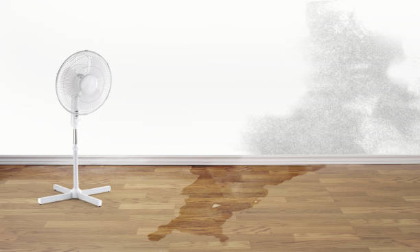 Best Water damage restoration experts  in Lake Success, NY