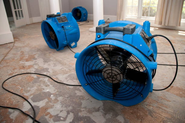 Best Fire Damage Restoration  in Lake Success, NY