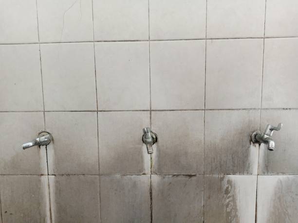 Best Commercial water damage restoration  in Lake Success, NY
