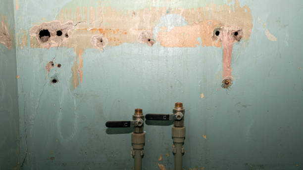 Best Flood damage cleanup  in Lake Success, NY
