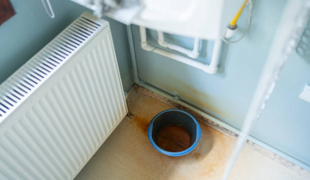 Best Local water damage restoration  in Lake Success, NY