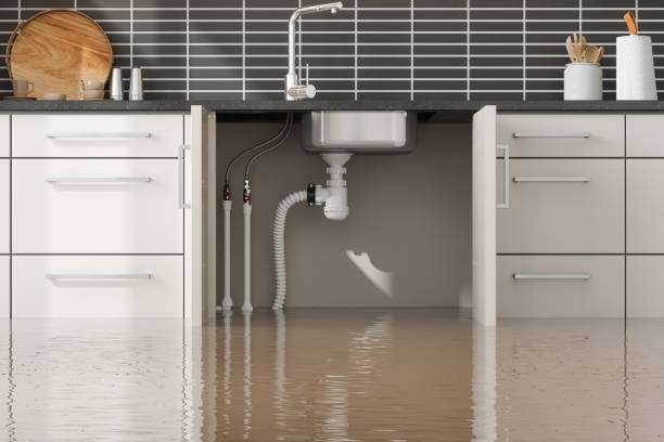 Best Water damage restoration near me  in Lake Success, NY