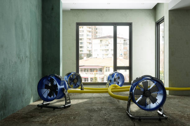 Best Flood restoration services  in Lake Success, NY